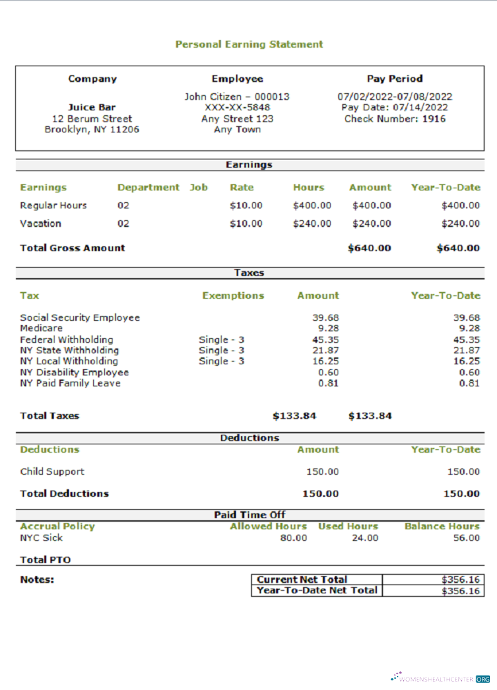 Download USA personal earning statement template Photoshop template